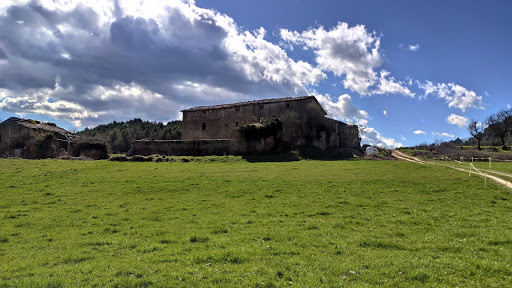 Centro de Yoga Cerdanyons – Lluçà