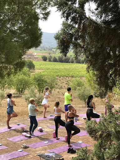 Centro de Yoga Ioga entre Vinyes – Sant Pere de Ribes