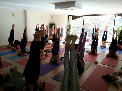 Centro de Yoga Jivamukti – Barcelona