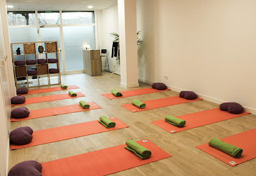 Centro de Yoga Samyama Estudi de Ioga i Meditació – Cardedeu
