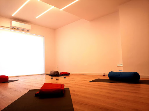 Centro de Yoga The Wellness Studio – El Masnou