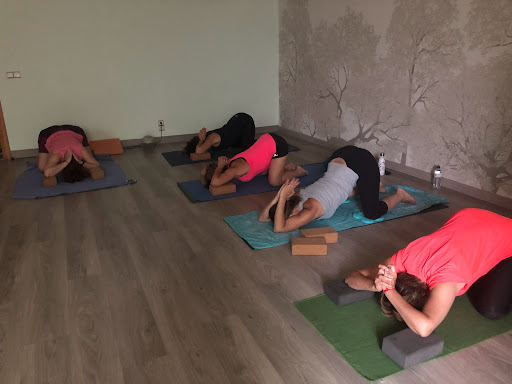 Centro de Yoga Viveka – El Prat de Llobregat