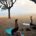 Centro de Yoga Yoga – Pineda de Mar