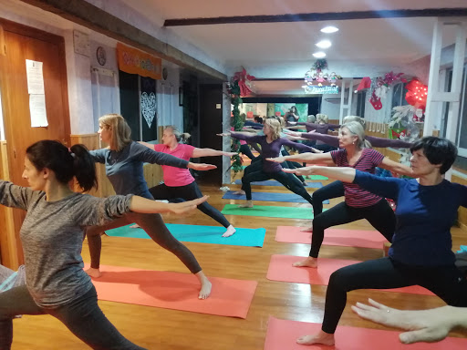 Centro de Yoga Yogasala – Petrer